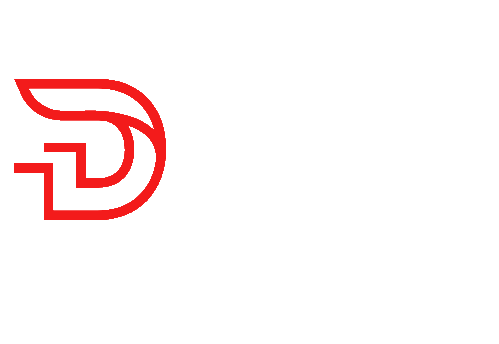 DS Web Services